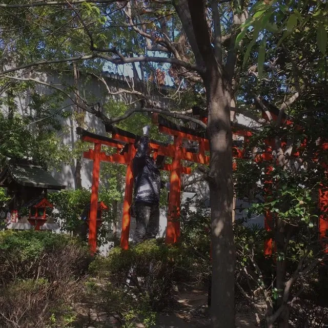 完成後の全景。